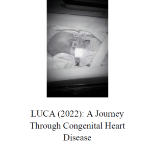 Tiny Warriors: Lena and Luca (Paperback) - Image 7