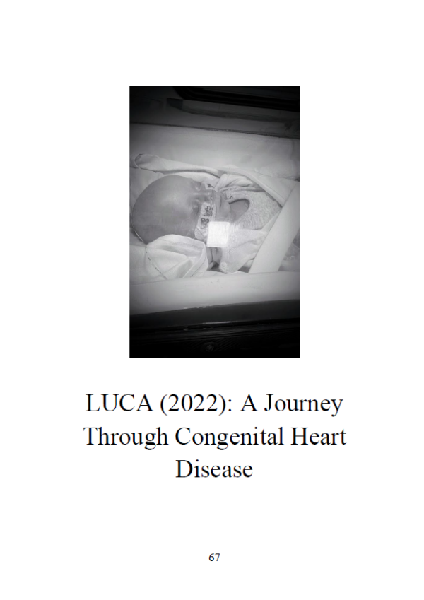 Tiny Warriors: Lena and Luca (Paperback)