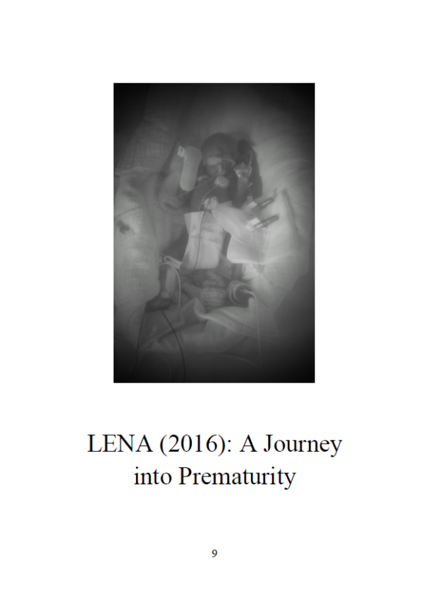 Tiny Warriors: Lena and Luca (Paperback)